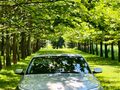 <div style='margin-bottom: 5px; font-size: 14px; color: #000000;'><div style='float: left;'><b>BMW</b> 525</div><div style='float: right;'>11 000<div style='text-align: right; font-size: 12px; font-weight: normal;'>ЛЕВА</div></div><div style='clear: both;'></div></div><img src=//vsichkikoli.com/img/obiavi/2025-10-26/car-8f71920cc9536edf73f1bc99d00ee385.jpg>